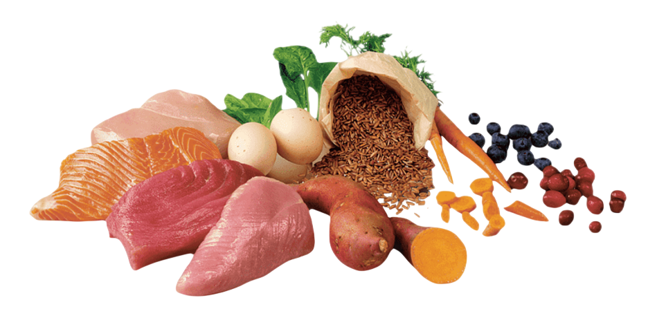 Perishable Goods Transportation
